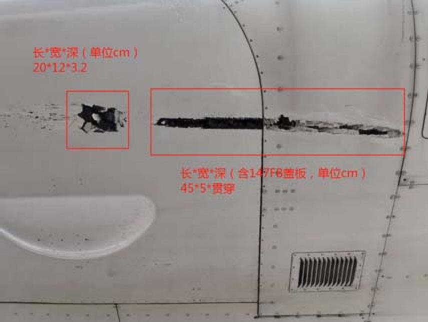 机身多部位受伤(图片来自报告)